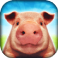 小猪猪模拟器安卓版