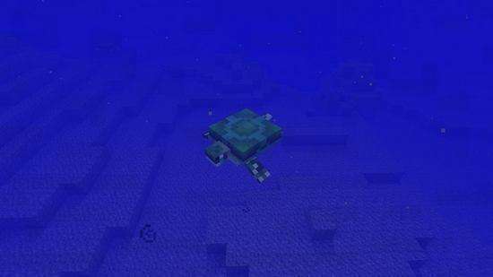 我的世界海龟蛋怎么孵化快 我的世界海龟蛋孵化方法说明